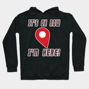 it's ok now ... i'm here ! Hoodie